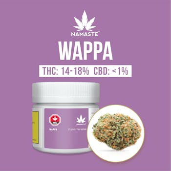 NAMASTE - WAPPA 1G